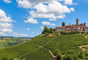 Piedmont: Italy’s New Food Capital